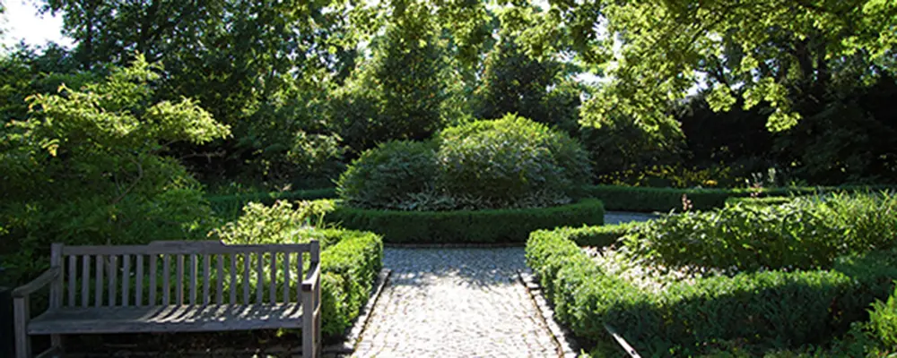 Foto på den del av Klosterparken som kallas för Blomstergården innan reovering.